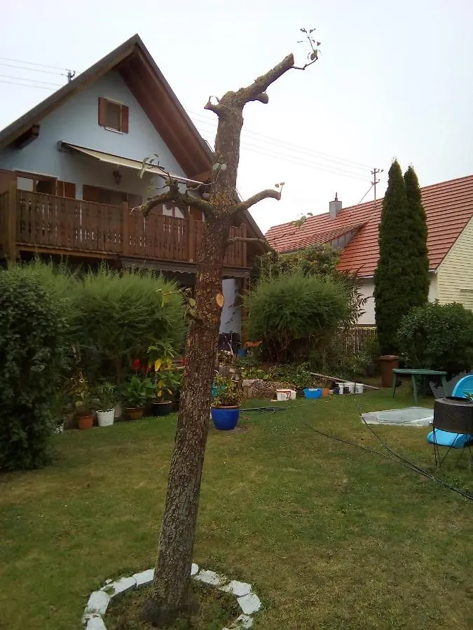 Villa Blue Nördlingen 0*,